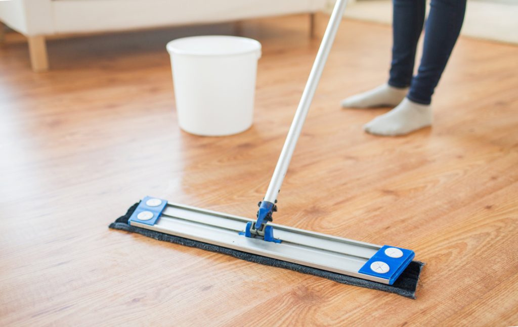 Professional Cleaning Services in Atlanta, GA