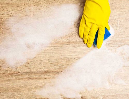 Don’t Forget to Dust: Why Dusting is So Important