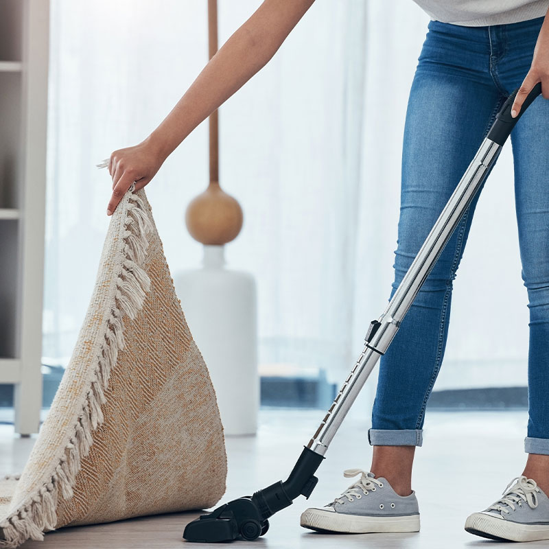 lady-of-vacuum