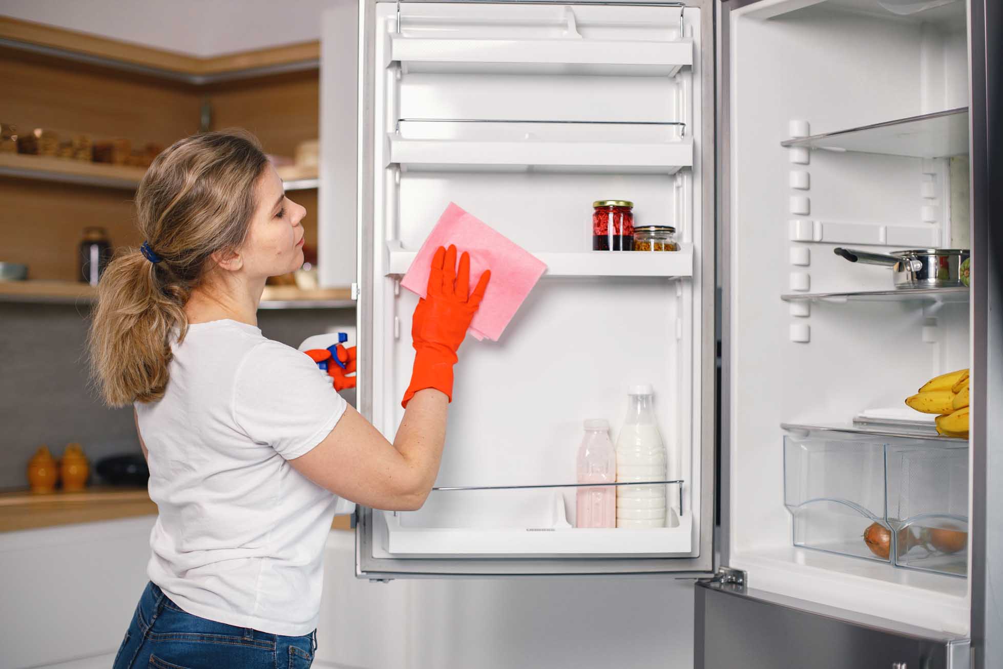 Woman in red gloves is doing cleaning and wash a refrigerator inside